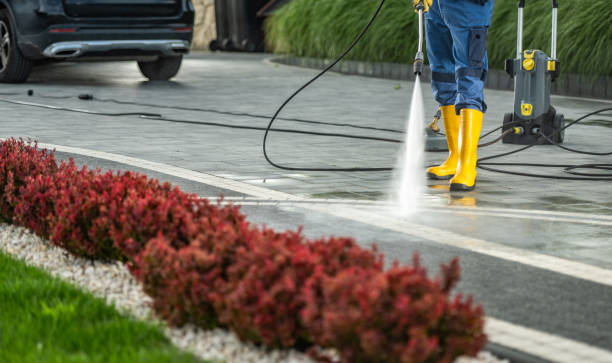 Best Driveway Cleaning and Restoration in South Patrick Shores, FL